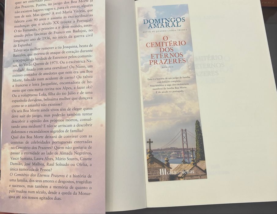 Livro de Domingos Amaral