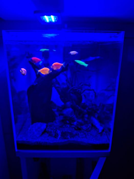 Akwarium 30l + szafka