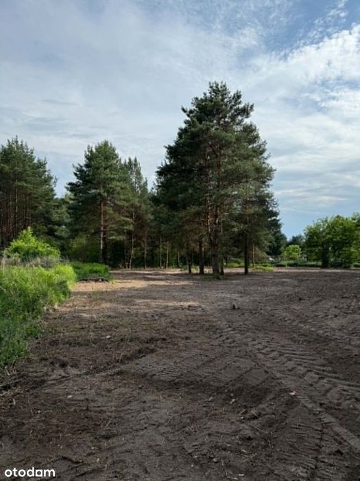 Działki budowlane 1500 m² przy lesie | Szczęsne | 1,2 km do WKD - Widok 3