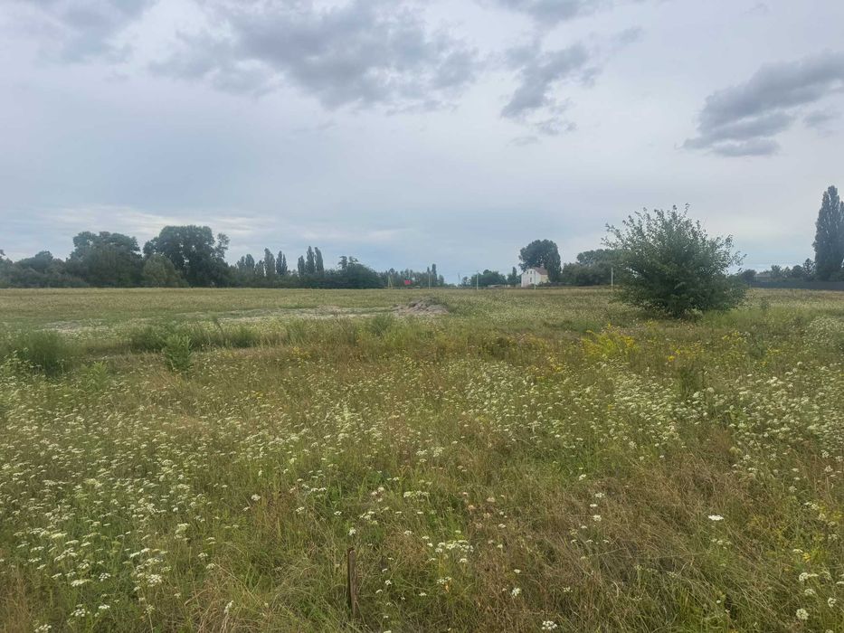 Продам 16 соток, під забудову, с. Гоголів