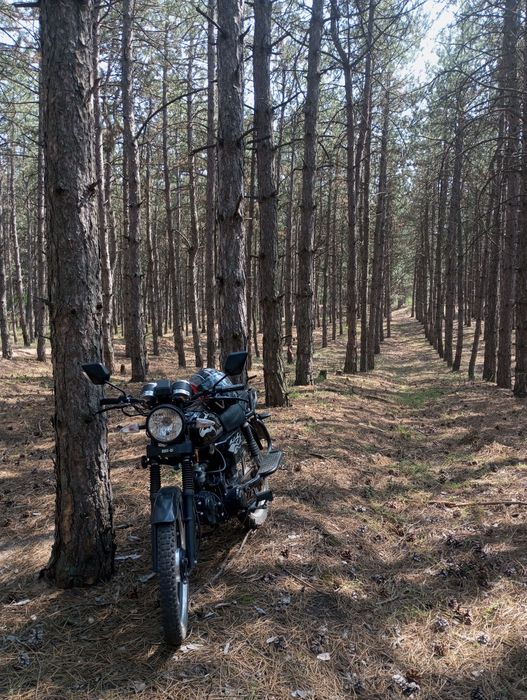 продається мустанг 125 мт-0