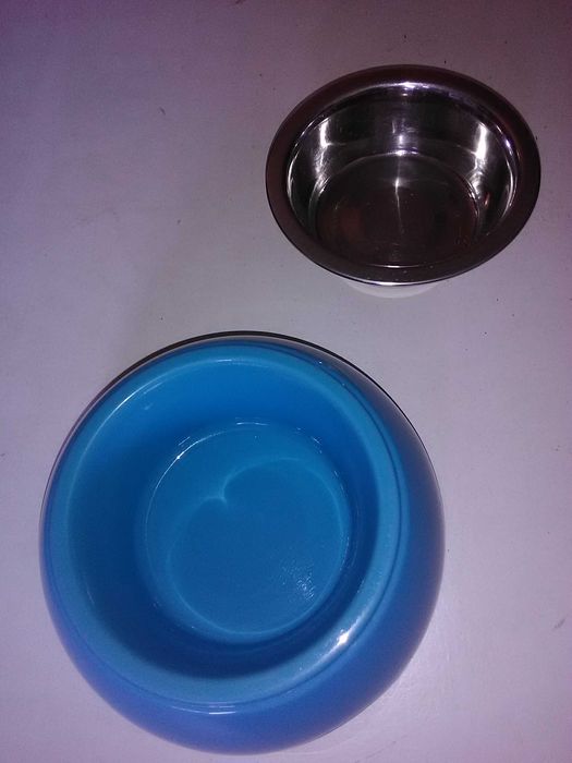 comedouro azul da para lavar é inox