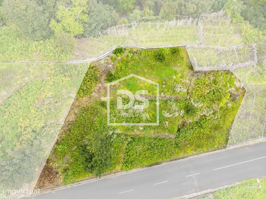 Terreno Rústico  Venda em Seixal,Porto Moniz