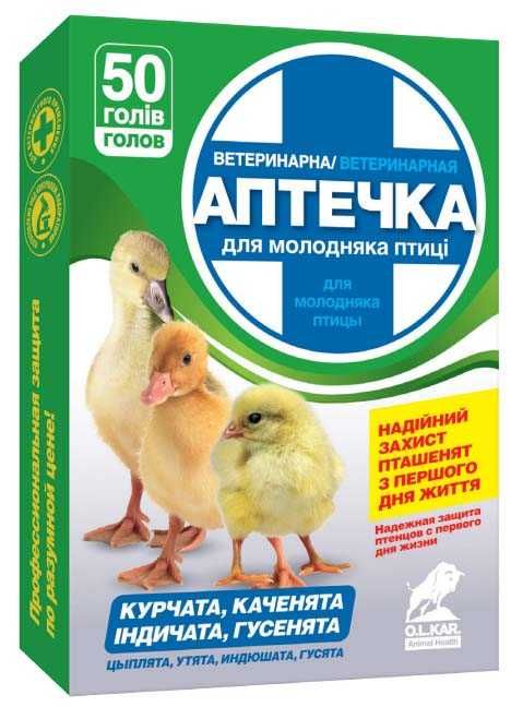 Бункерна годівниця 10 кг. для курей - качок - бройлерів - гусей .