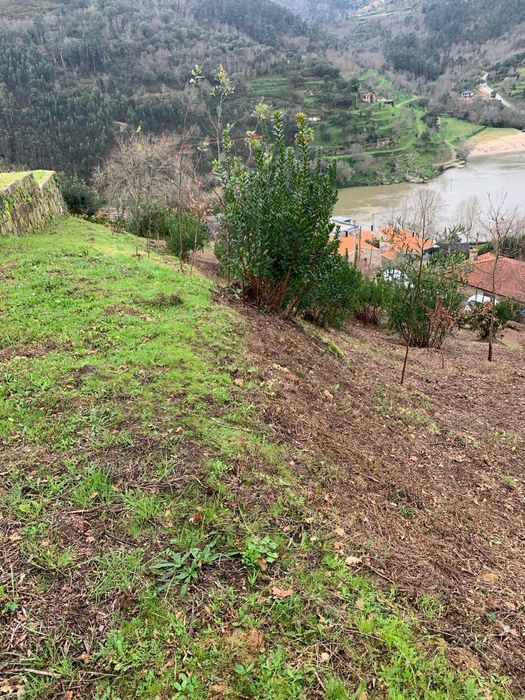 Terreno excelente vista para Rio Douro