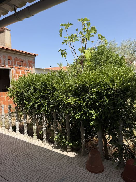 Casa Acolhedora em Benavila