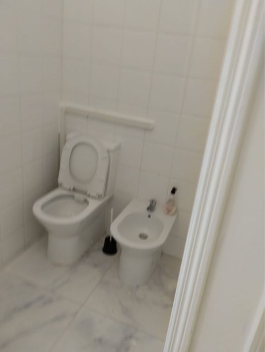 Pedreiro/telhado /casa de banho458407026738472962