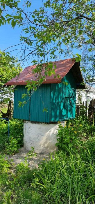 Продаж  будинку с.Безп'ятне Васильківський 30 км. до Києва. Газ,пічка.