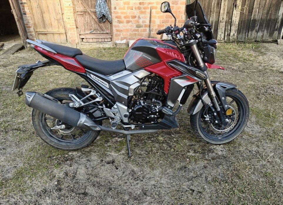 Senke leopard 300