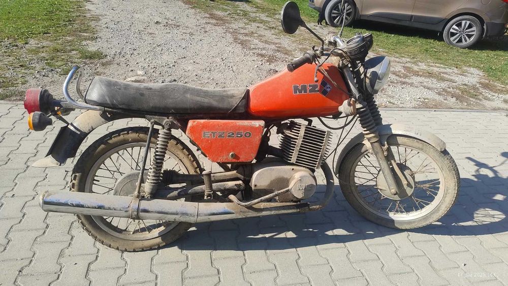 Mz