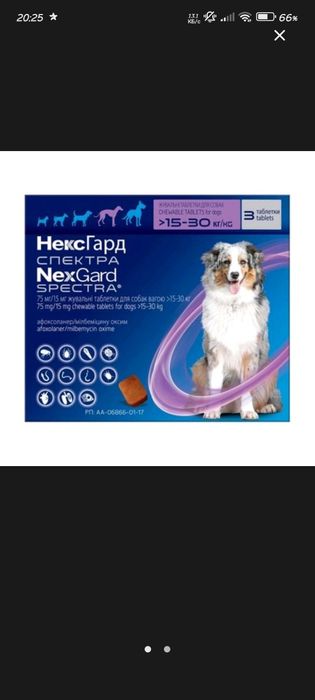 Вітаміни для собак