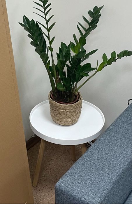 Стіл Jysk  (кавовий столик BAKKEBJERG)