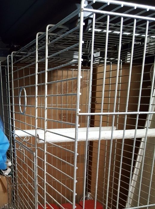 Gaiola Grande para Papagaio ou outra ave de porte maior, com rodas
