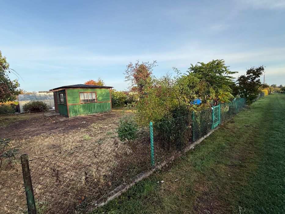 Działka ROD Reja Gdynia ul. Zielona - Widok 3