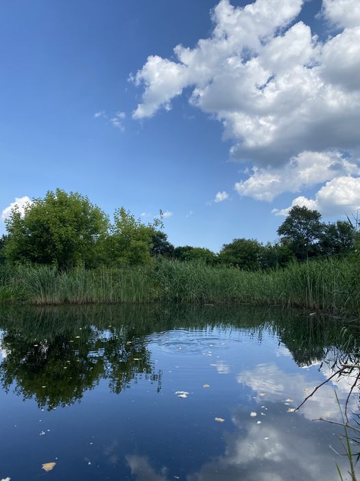 Оренда будинку «Кохай свій край». Чан. с. Прохорівка, Черкаська обл.