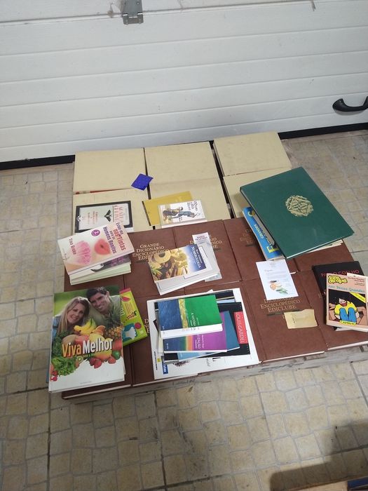 Lote de livros varias temáticas