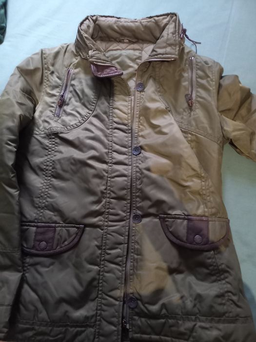 Kispo de senhora verde Quebramar