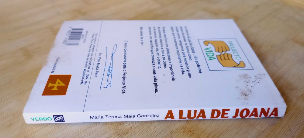 A Lua de Joana de Maria Teresa Maia Gonzalez