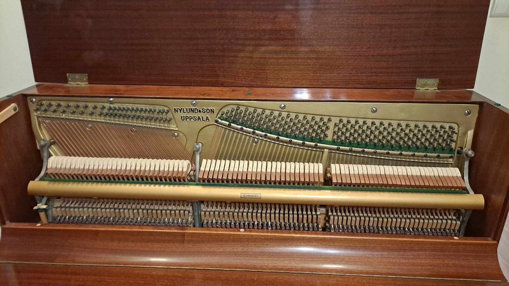 Pianino do wczesnej nauki gry na instrumencie