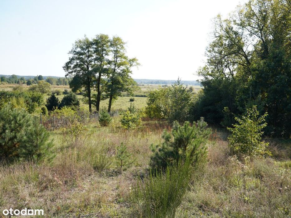 Wyjątkowa działka widokowa 2800 m²|Dolina Radomki|PuszczaKozienicka|WZ - Widok 2