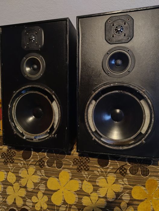 Kolumny Magnat Monitor D