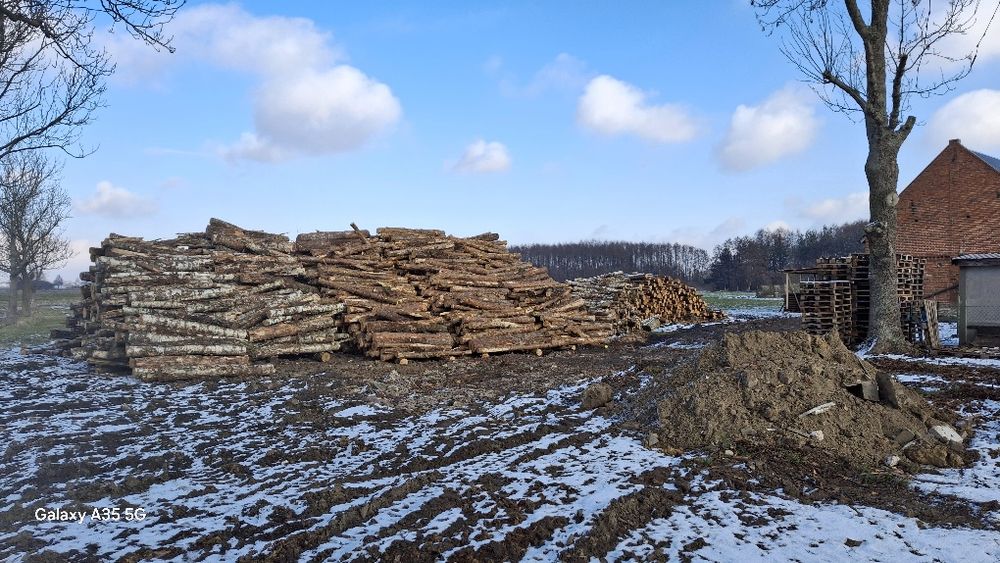 Drewno Opałowe Sosnowe