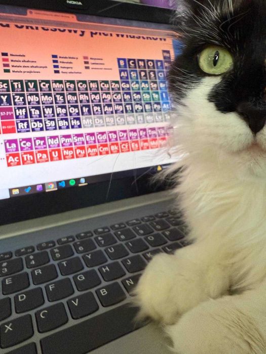 korepetycje CHEMIA online