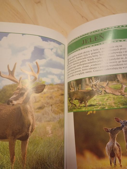 Encyklopedia zwierząt 650stron