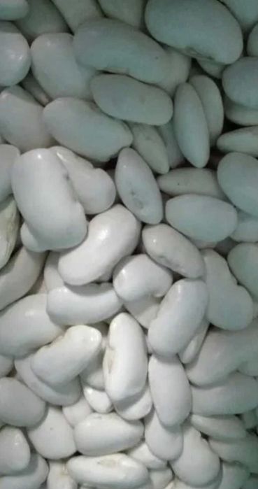 Jaś tyczny ekologiczny