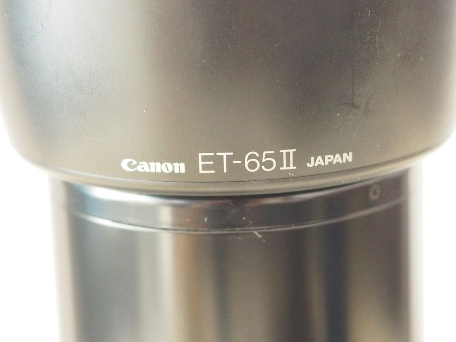 Canon EF 100-300 mm f/4.5-5.6 USM