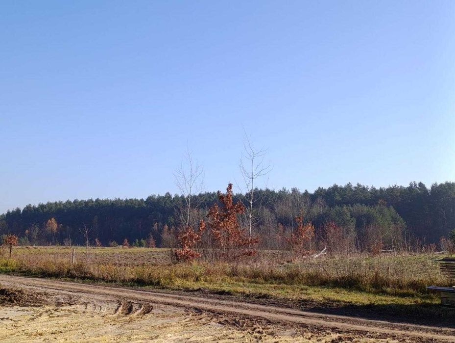 Продаж будинку, Бірки, 0 цикл