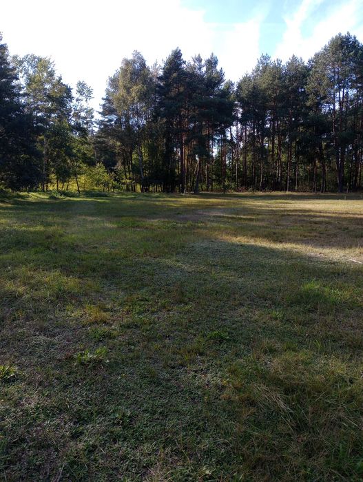 Działka w Radawie.