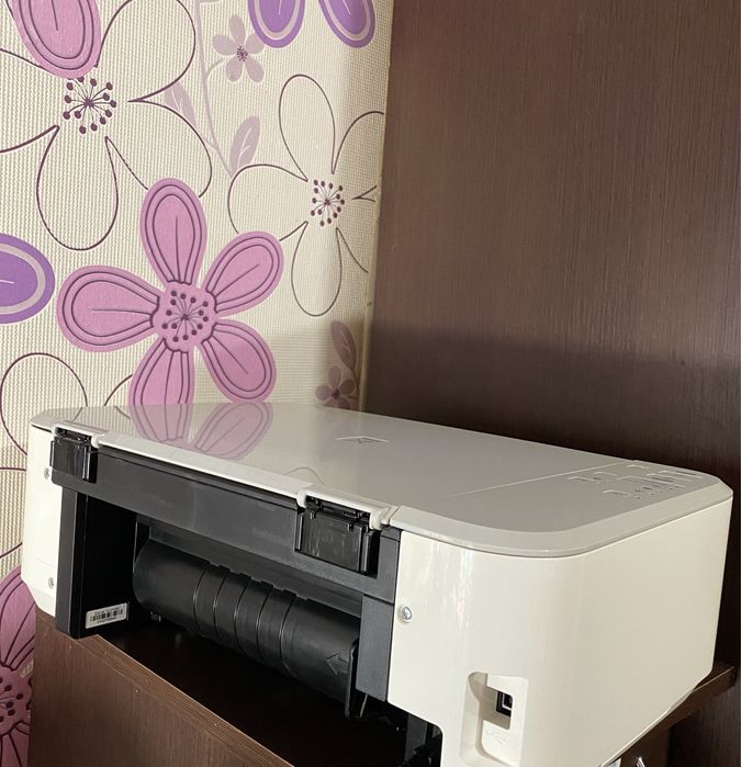 Принтер Canon MG3650S White