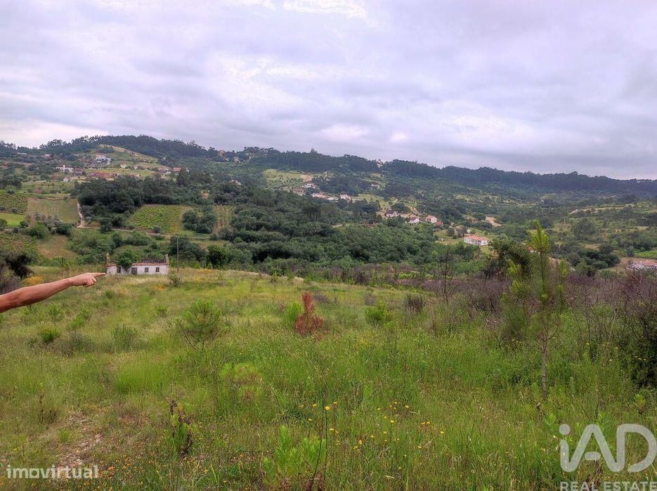 Terreno para construção em Colmeias e Memória de 116,00 m2
