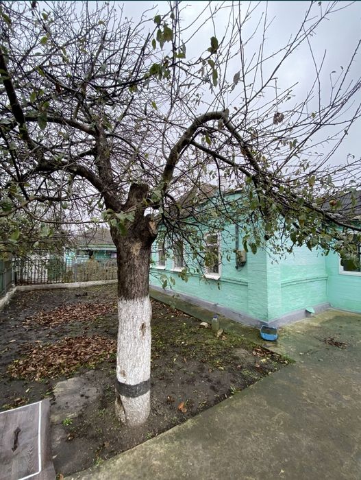 Продам дом в городе