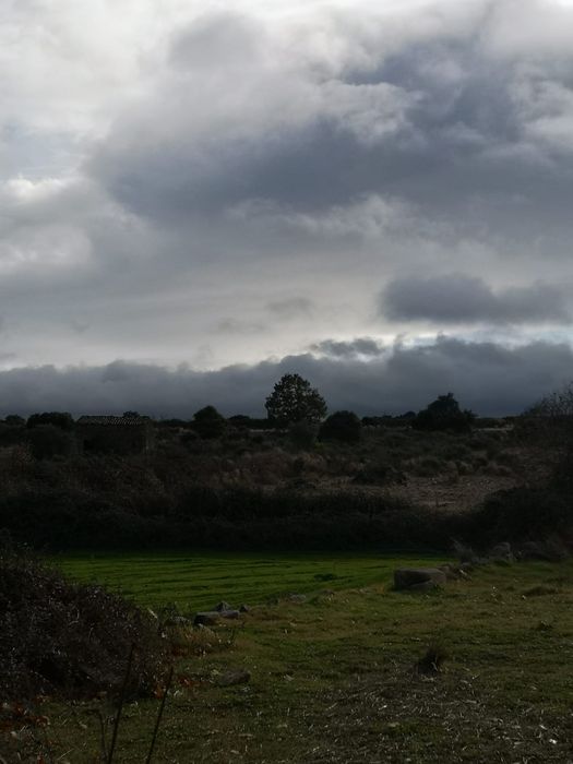 Terreno rústico Escalhão