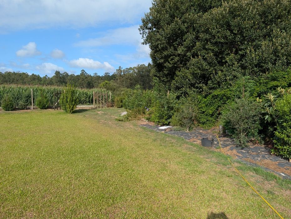 Terreno em Gemeses com 1000m2