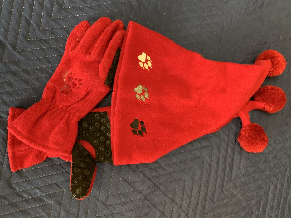 Лижний костюм жіночий