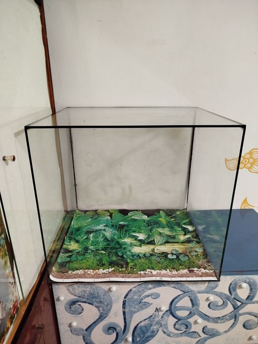 Большой квадратный Террариум.