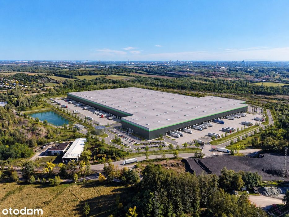 Śląskie | 25 Ha | A1 | Logistyka / Produkcja / Przemysł - Widok 4