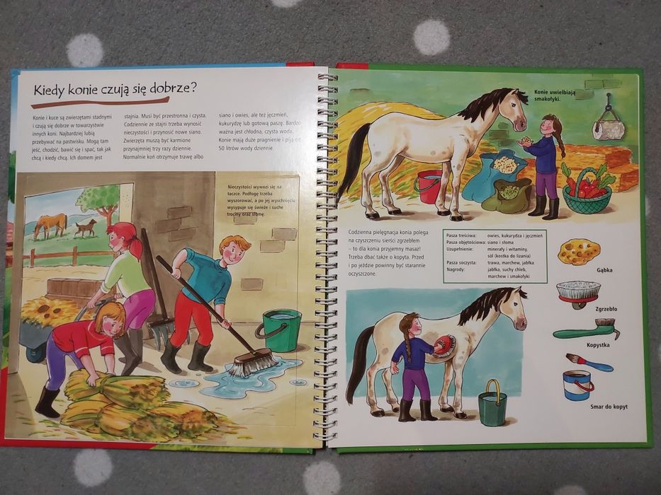 Książka Konie i kuce