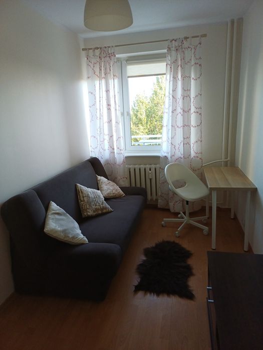 Pokój duży pokoje w mieszkaniu kuchnia osobna toaleta Sobieskiego tramwaj PST stancja kampus Morasko UAM pieszo Cozy Single Room rent jednosobowy