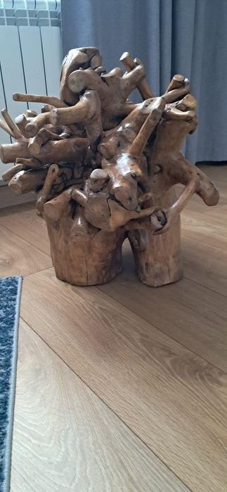 Sprzedam korzeń ozdobny