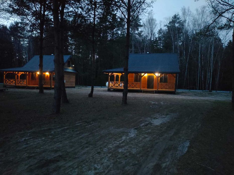 Leśny Zakątek-domki letniskowe w otulinie lasu.