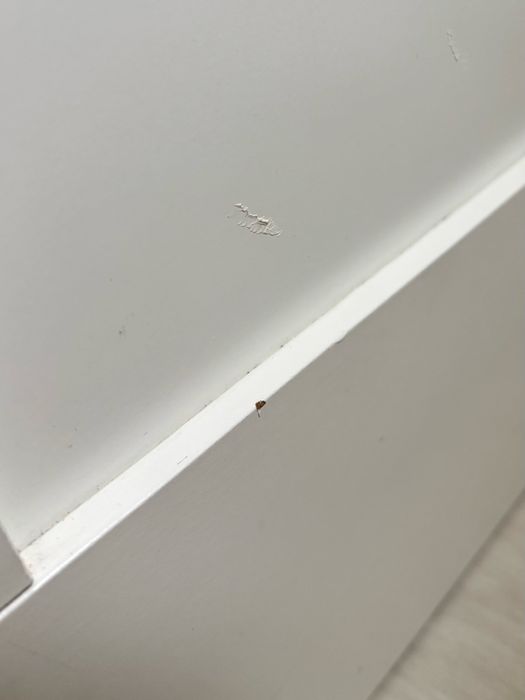 Łóżko BRIMNES IKEA + 2 materace