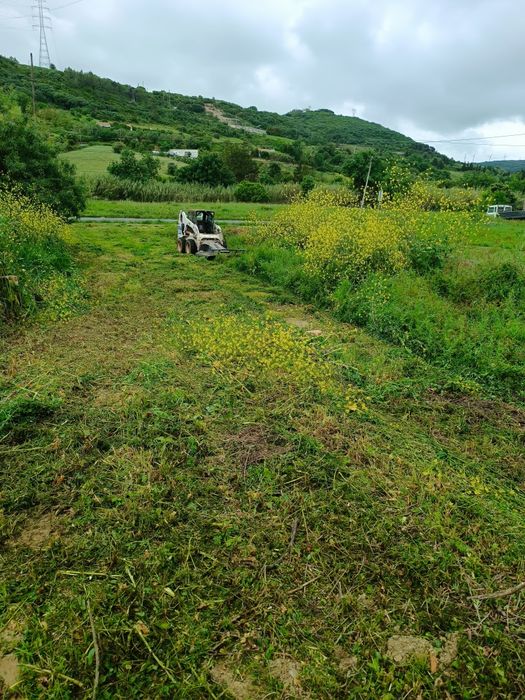 Aluguer de Bobcat ( destroçador)