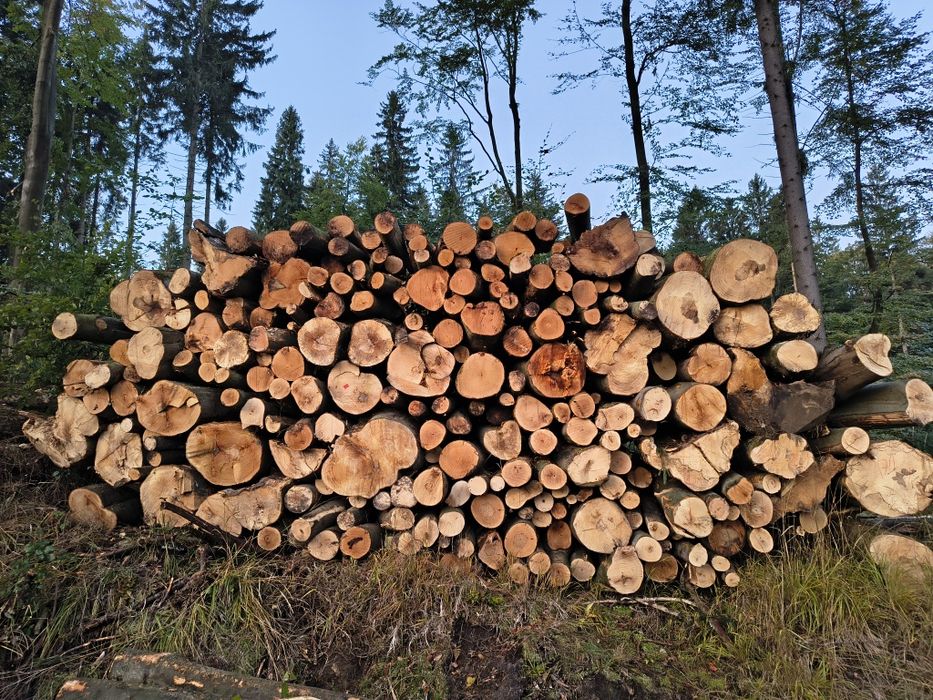 Drewno opałowe świerk