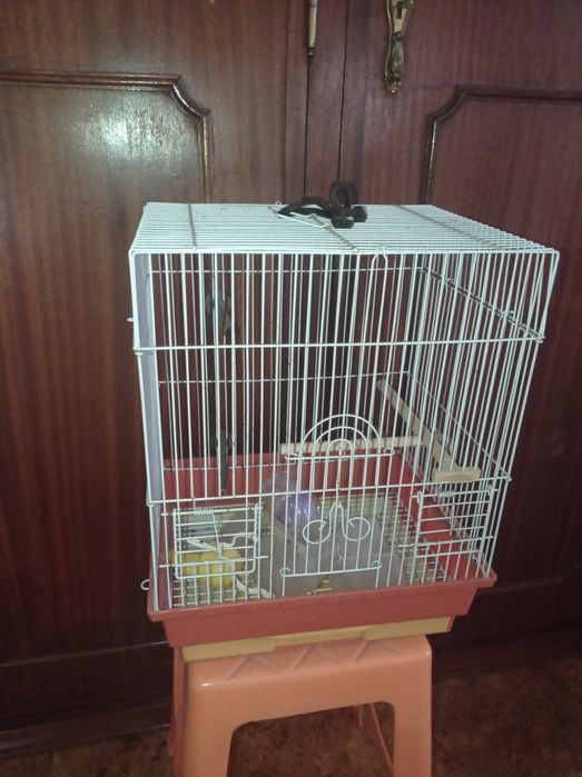 Gaiolas / Ninhos Roseicollis