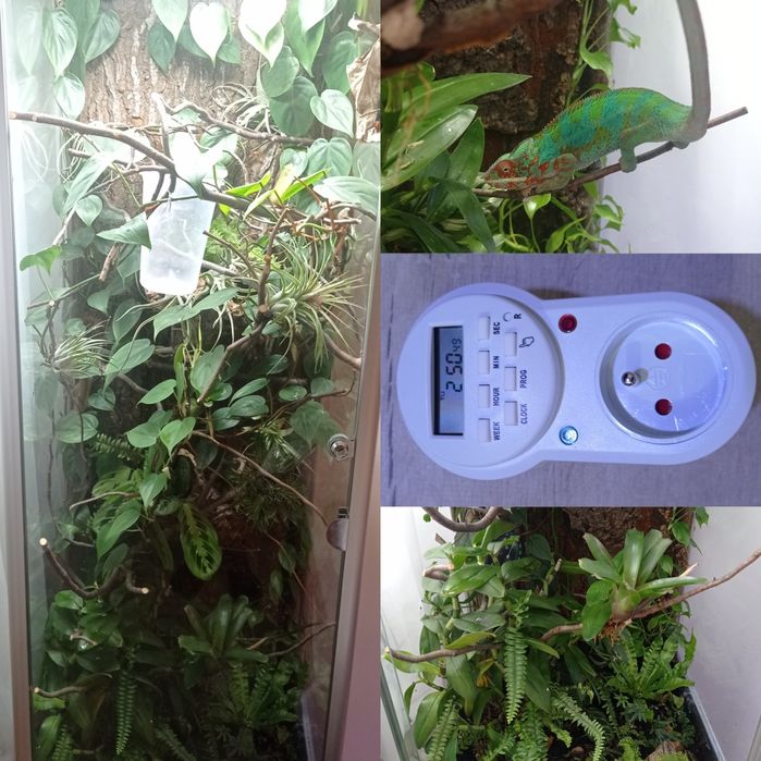 Timer, programator sekundowy, włacznik precyzyjny do terrarium, zrasza