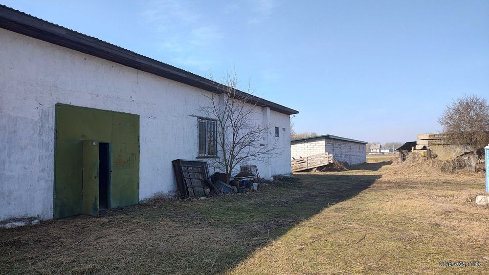 Ферма Свиноферма Скотарство Зерносхови Цех Броварський 600квм 70сот